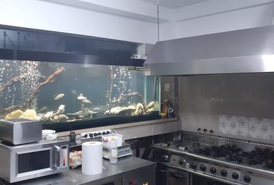 Vila cu 16 camere, ideala pentru azil de batrani sau turism - 22