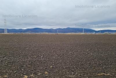 Teren extravilan 2,9 HA,intre Cristian si Vulcan - 3