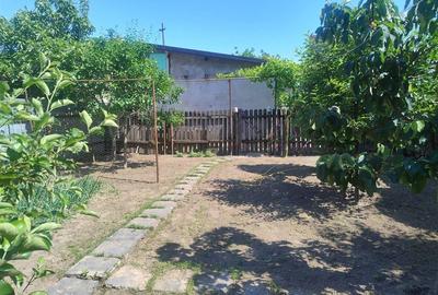 Casa 3 camere zona Centrala, teren 385 mp - 21