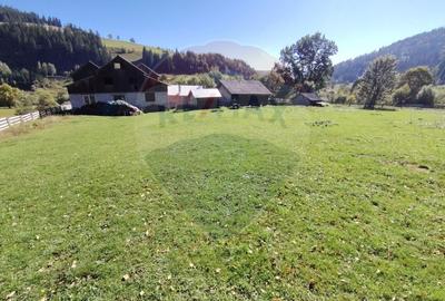 Casă în Vatra Dornei, zona Argestru, cu 11.541m.p. TEREN INTRAVILAN - 8