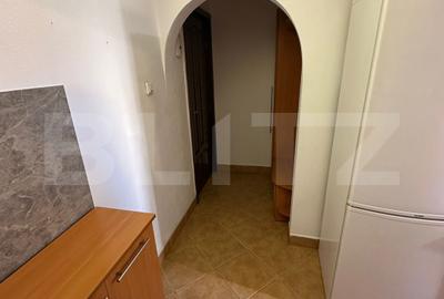 Apartament 2 camere semidecomandat, etaj 1, balcon, Grigorescu, zonă excelentă - 12