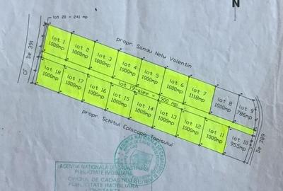 Teren 17.000mp Costinesti - zona Manastire - 100 euro/mp (Cod E2) - 6