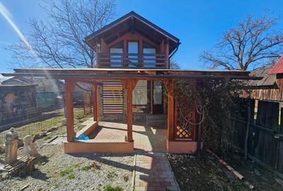 Casa de vacanta Russu Bargaului - 2