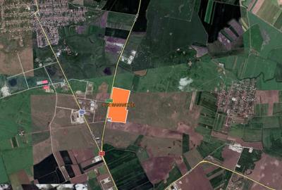 De vanzare teren logistica/industrial, coborare bretea A1 - Sanandrei, Timis - 5