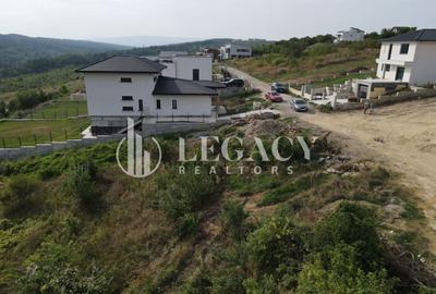 Teren intravilan pt dezvoltare imobiliară, lac Aroneanu, Iași - 20
