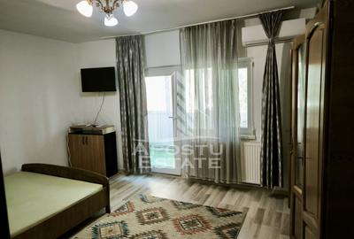 Apartament cu 1 camera, de inchiriat, zona Dambovita - 1
