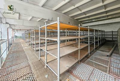 Spațiu industrial versatil, Platforma Upruc, Făgăraș - 5
