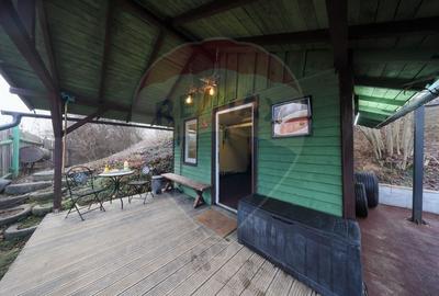 Ansamblu rezidențial cu casă principală și anexe, teren 1.487 mp - 17