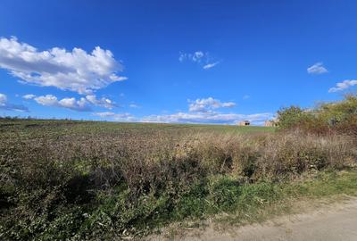 Teren intravilan Balotesti / 5.000 mp / D: 18 m / langa lac / comision 0% - 6