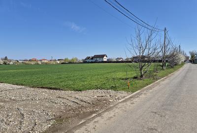 Snagov- Ciofliceni, loturi de casă între 505-628mp, Șerban Cantacuzino! - 9