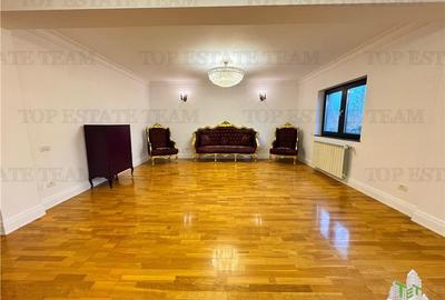 Vila pretabila rezidenta/office Iancu Nicolae - 15