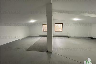 Spatiu comercial, birouri, depozitare de inchiriat in Doamna Ghica - 11