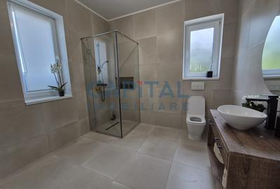 Casa superba la cheie, panouri fotovoltaice, central Dezmir - 12