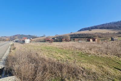 Teren intravilan de vânzare Ivanesti, Com Livezeni - 1
