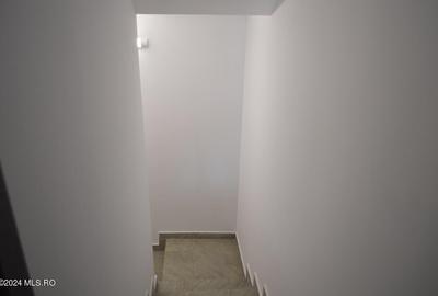 Calinesti - Gorganu, casa cu 2 intrari, teren 2496 mp! - 34
