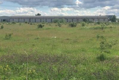 Vand teren intravilan pt constructie hala-Bolintin Deal- Autostrada A1 - 3