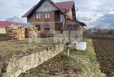 Casa la rosu | Fratautii Noi | 13 ARI - 2