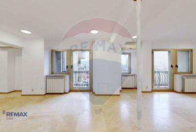 Apartament UNIC- ideal pentru birouri sau resedință în P-ta Alba Iulia - 9