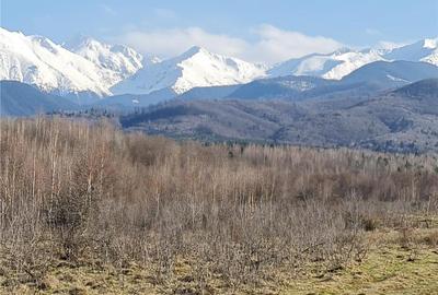 Teren intravilan 2500mp  pe Valea Avrigului,optim casa de vacanta - 1