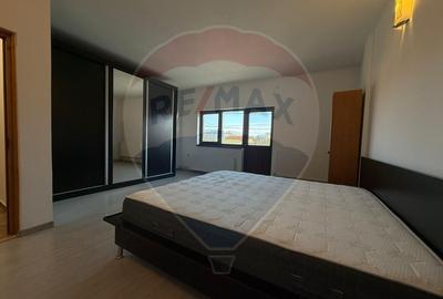 Casa cu teren de inchiriat in Palazu Mare - 8