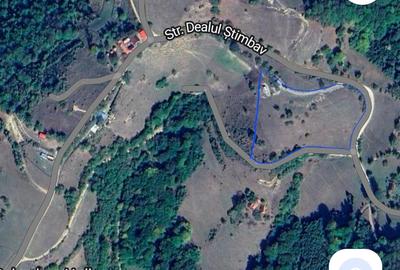 Refugiu de poveste în inima naturii | 12.000 mp în Holbav | Proiect început - 20