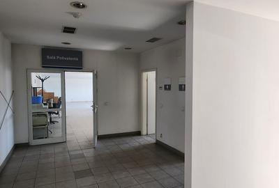 Showroom auto suprafata 6500 mp, teren 1500 mp, deschidere 90 ml la DN 1. - 32