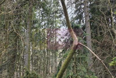 Etaj vilă istorică de vânzare în Sinaia – Zona Furnica - 6