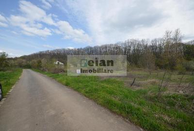 Snagov Crizantemelor Teren 3200mp, d 72ml, gaz, curent, asfalt, padure - 3