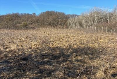 Teren intravilan parcelabil Valea Garbaului Floresti - 2
