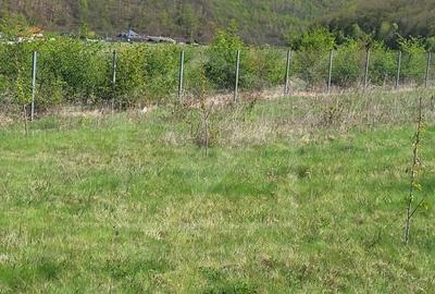 Teren extravilan 2000 mp, împrejmuit, panoramă superbă – Sălicea (Cluj) - 7