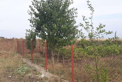 Teren intravilan zona de case - 1