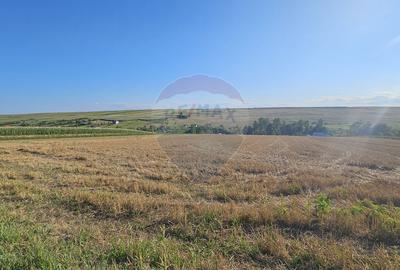 Teren intravilan, 7500 mp in Moara Carp / Strada Eternitatii-Suceava - 8