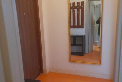 DOROBANTI ,IANCU DE HUNEDOARA GARSONIERA  PET FRIENDLY INCHIRIERE - 8