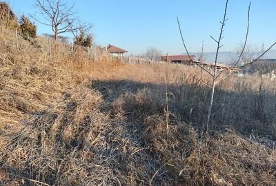 1400 mp. Deschidere 38 m Teren Intravilan CETATE Valea Popii utilitatile langa - 4