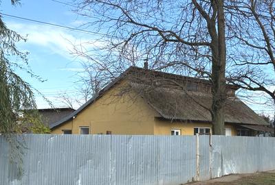 Făbrică de producție brânzeturi, Business funcțional, 25 de ani activitate - 13