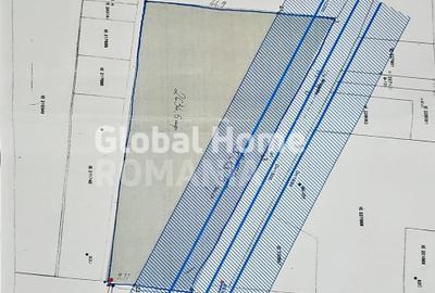 Proiect Comercial | Teren Intravilan 4.493 mp – Dubla Deschidere | Magurele - 7