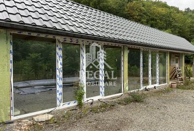 Proprietate cu potențial, într-un cadru natural de vis – 3581 mp teren - 9