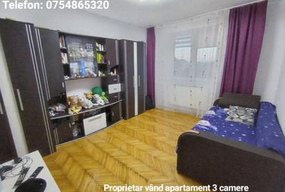 Apartament cu 3 camere decomandat, mobilat în Șagului