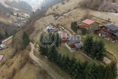 Comision 0% Casa de vacanta in Muntele Rece | Priveliste Panoramica - 18