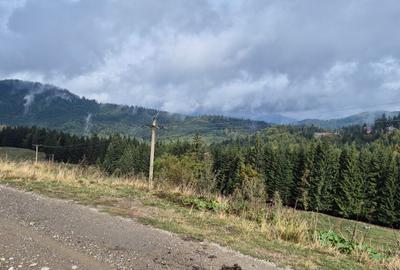 Teren deosebit in cadru de poveste langa cabana Diham, Glajerie - 6