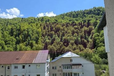 Apartament cu 2 camere de vanzare in Azuga - 17
