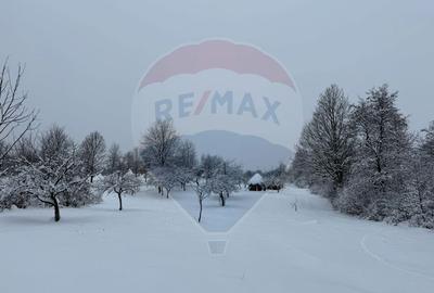 Teren agricol extravilan de 4193 mp, în Breb