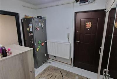 APARTAMENT 2 CAMERE DECOMANDAT PODU ROS DEDEMAN - 21