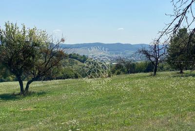 Teren 11.000 mp-ideal cabana/ferma-Unirea-Valea Slatinitei - 5