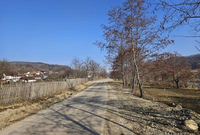 Teren 2500 mp în natură, Valea Bratia, priveliște spre munți - 9
