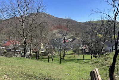 Teren 1,106mp Baia Mare / Strada Firiza - 11