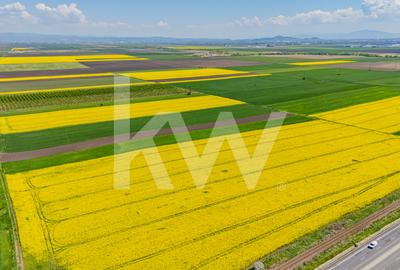 Teren 10.600 mp în Codlea – ideal pentru investiție industrială - 4