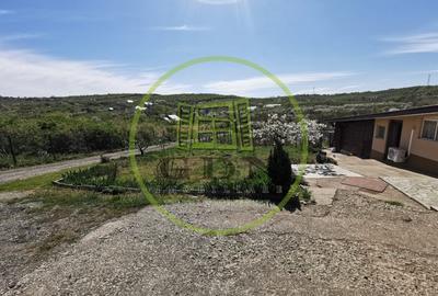 Teren intravilan si extravilan cu anexa gospodareasca amenajata, cu utilitati - 4