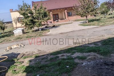 Ferma Zootehnică Mixtă – Cernateaz, Timiș | 9,5 ha | Hale Moderne, Casă 2019, va - 5