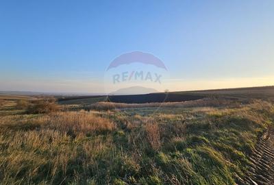 Teren extravilan 30077mp Stroiesti / Soseaua DN17, Suceava - 8